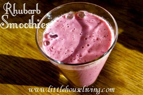 rhubarb-smoothie-recipe-and-harvesting-rhubarb image
