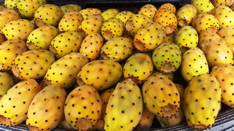 prickly-pear-or-cactus-fruits-food-heritage-foundation image