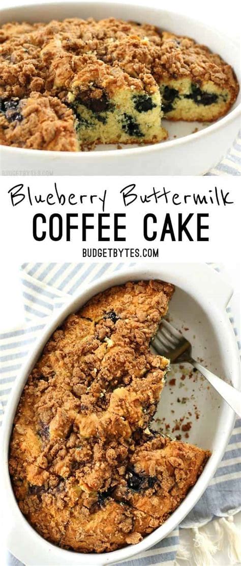 blueberry-buttermilk-coffee-cake-recipe-budget-bytes image