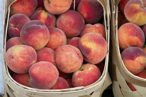5-ingredients-or-less-peach-frozen-yogurt-food-network image