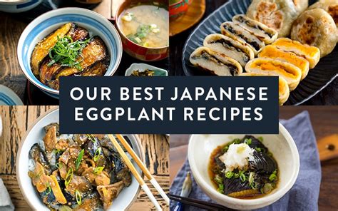 our-best-japanese-eggplant-recipes-just-one-cookbook image