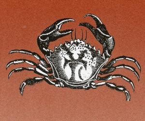crabmeat-maison-british-food-in-america image