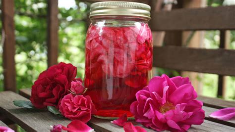 rose-water-recipes-for-skin-top-13-simple image