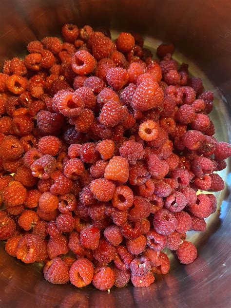 raspberry-jalapeo-jam-jess-in-the-kitchen image