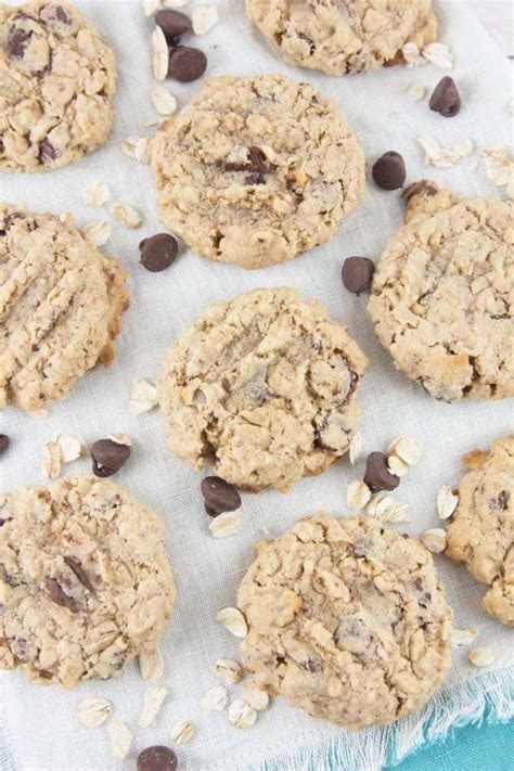lactation-cookies-oatmeal-chocolate-chip-bunsen image