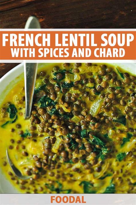 french-lentil-soup-with-spices-and-chard-foodal image