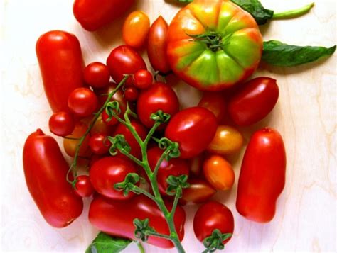 varieties-of-italian-tomato-delicious-italy image