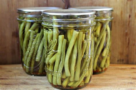 pickled-dilly-beans-dill-pickled-green-beans-practical image