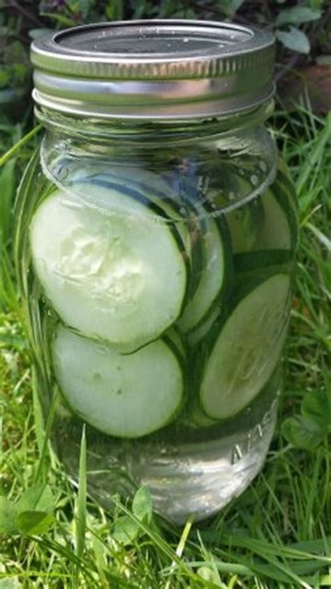 how-to-make-cucumber-infused-gin-garden-cocktails image