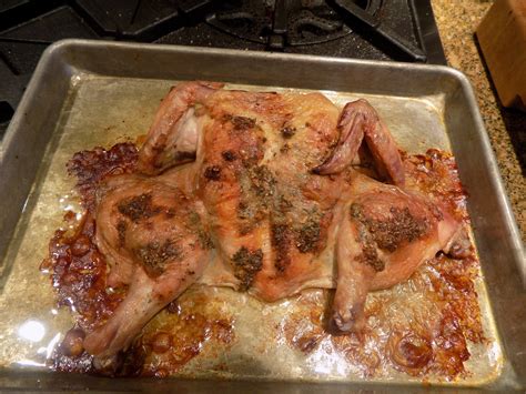 savory-baked-spatchcocked-cornish-game-hen image
