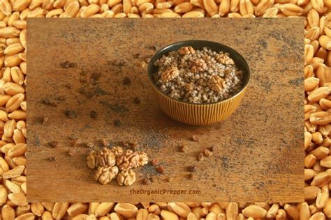 a-preppers-guide-to-wheat-berries-versatile-space image