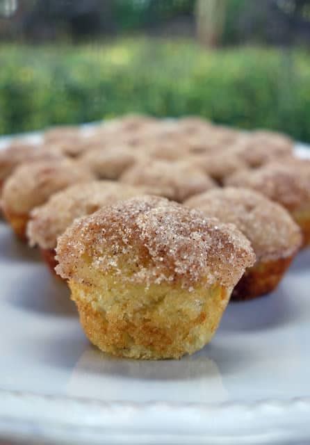 mini-applesauce-muffins-plain-chicken image