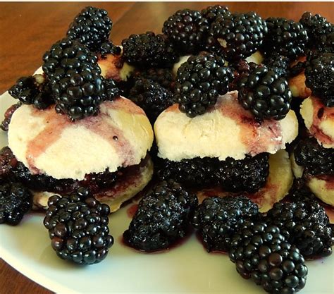 old-fashioned-blackberry-shortcake-a-hundred-years image