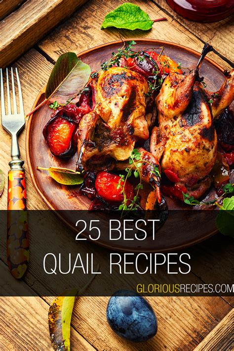 25-best-quail-recipes-to-try-gloriousrecipescom image