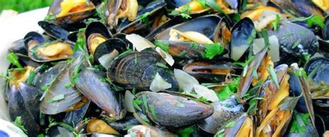 ahoy-there-moules-marinires-french-sailors-mussels image
