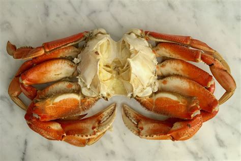 how-to-crack-pick-and-eat-crab-the-spruce-eats image