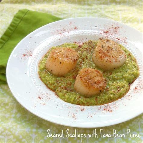 seared-scallops-with-fava-bean-pure-teaspoon-of-spice image