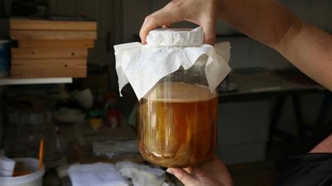 a-guide-to-making-kombucha-at-home-cbcca image