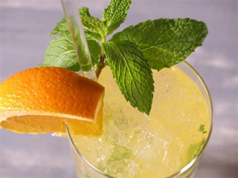 orange-vodka-herbal-cooler-recipe-bobby-flay image