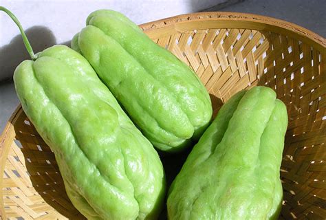 9-most-popular-vegetables-in-vietnam image