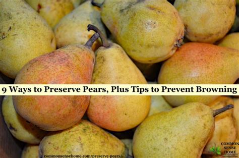 9-ways-to-preserve-pears-plus-tips-to-prevent-browning image