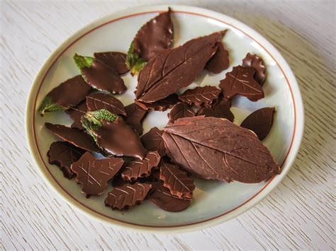 how-to-make-chocolate-leaves-with-pictures-wikihow image