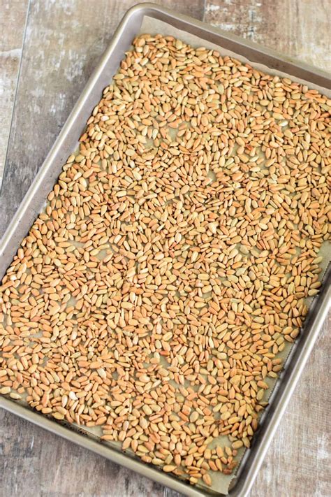 easy-oven-roasted-sunflower-seeds-watch-learn-eat image
