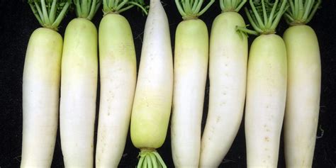 why-you-should-be-cooking-yes-cooking-daikon image