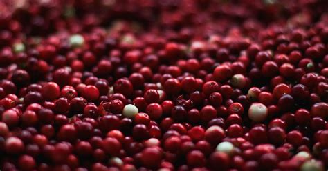 cranberries-are-healthy-but-you-need-to-know-the-full image