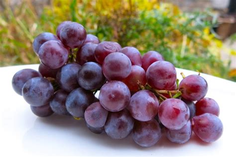 classic-preparation-of-concord-grapes-for image