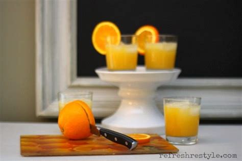 southern-comfort-punch-recipe-refresh-restyle image