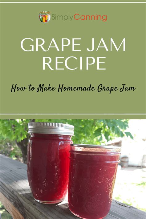 how-to-make-grape-jam-recipe-with-low-and-full-sugar image