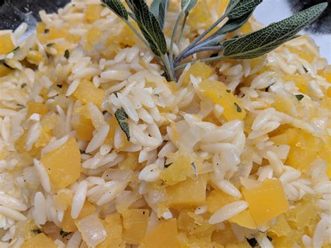 butternut-squash-and-sage-orzo-risotto-life-from image