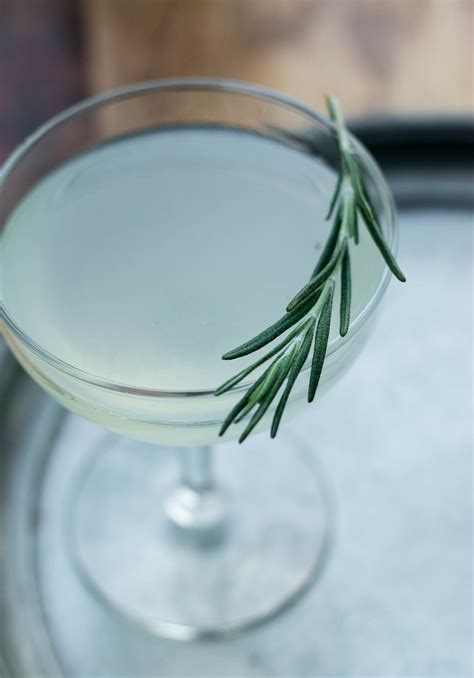 rosemary-gimlet-cocktail-recipe-david-lebovitz image