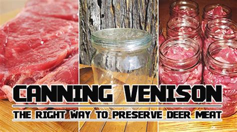 canning-venison-the-right-way-to-preserve-deer-meat image