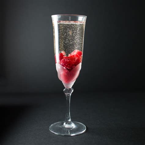 cranberry-prosecco-fizz-tipsy-tuesday-grey-is-the image