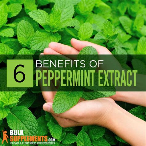 peppermint-extract-benefits-side-effects-dosage image