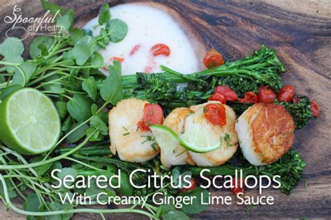 seared-scallops-with-ginger-lime-cream-sauce-paleo image