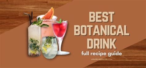 8-best-botanical-drink-recipes-to-try-now-2023 image