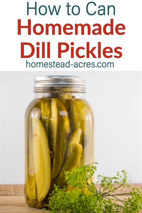 how-to-make-dill-pickles-easy-canning-homestead image