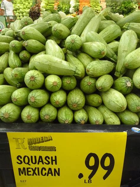 10-health-benefits-of-mexican-squash-for-body-system image