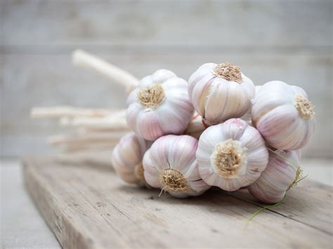 garlic-uses-interactions-safety-concers-and-doses image