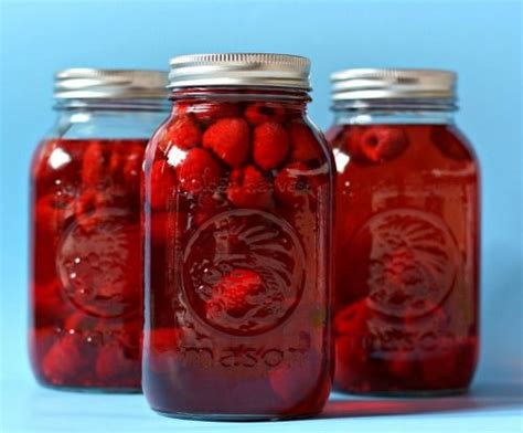 homemade-raspberry-vinegar-recipe-homestead image