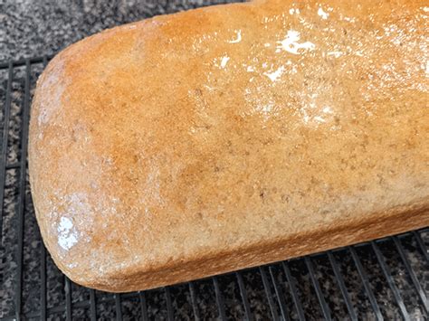 classic-100-whole-wheat-sandwich-bread-bread-by image