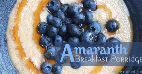 10-best-amaranth-breakfast-recipes-yummly image