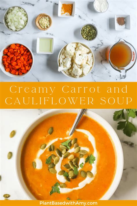 creamy-carrot-and-cauliflower-soup-plant image