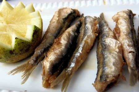 10-traditional-dishes-from-jerez-de-la-frontera-you-need image