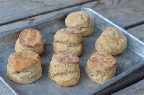 the-best-whole-wheat-biscuits-100-days-of image