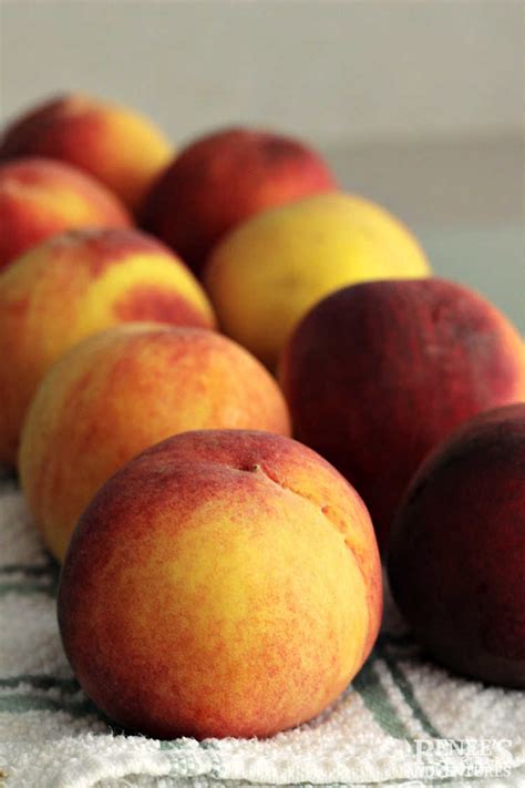 easy-peach-bread-fresh-or-canned-peaches-renees image