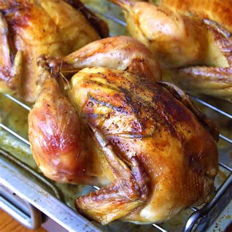 roasted-cornish-game-hen-the-daring-gourmet image